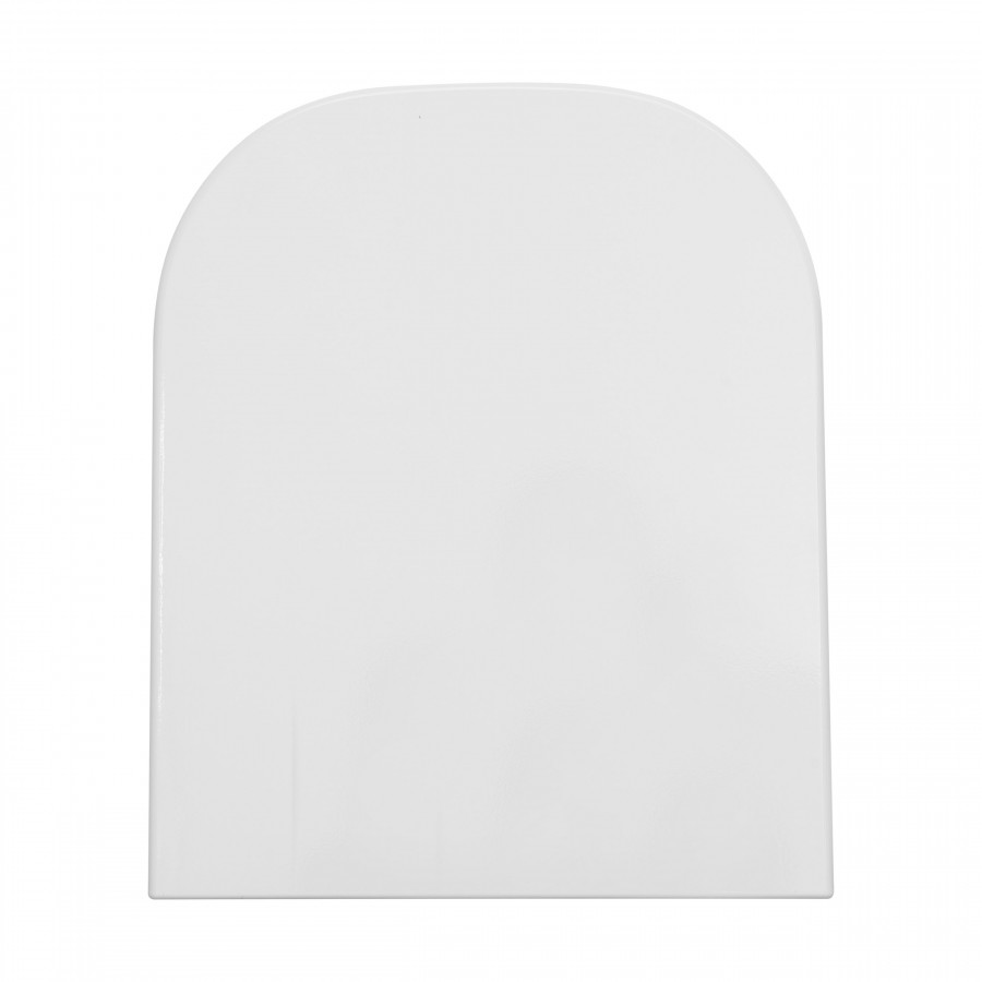 GAP сидение для чаши Roca The Gap Soft Close, supralit A80173200B ROCA 