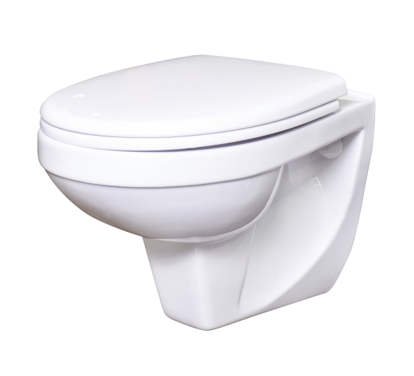 ПЭК Унитаз Рио подвесной с сиденьем микролифт, инсталляция DI c хром панелью (2 кнопки) ROSA